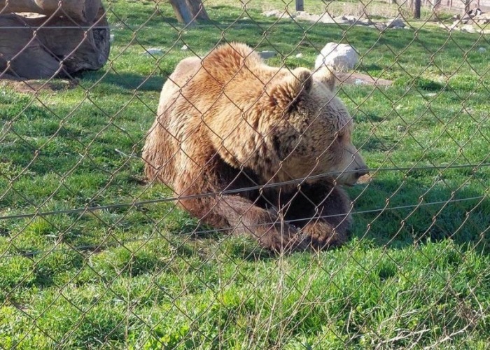 Private day trip Zagreb, Plitivice Lakes, Zagreb