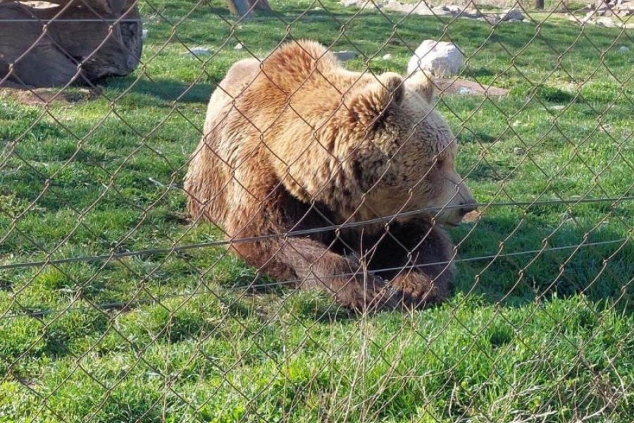 Private day trip Zagreb, Plitivice Lakes, Zagreb