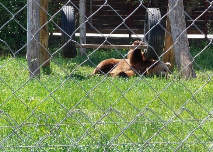 Private day trip Zagreb, Plitivice Lakes, Zagreb